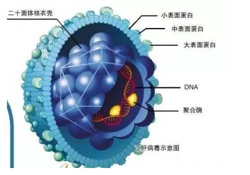 全球新型冠状病毒疫情现状，应对策略及最新发展动态